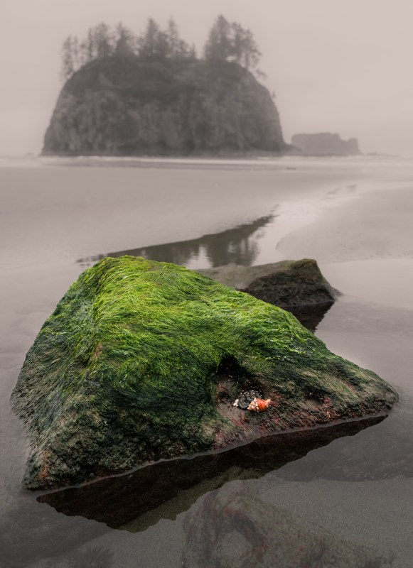 A green foreground rock echoes a distant tree-topped island across wet sand.