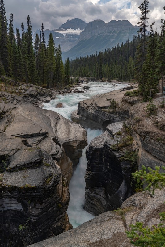 A river runs between close rock walls toward forest and distant peaks.