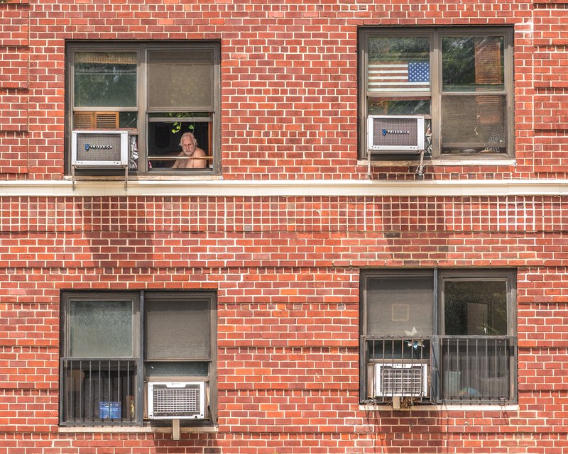 Four windows in a red brick wall; a man looks out of one.